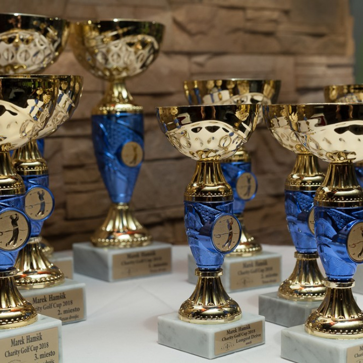 Hamšik Cup