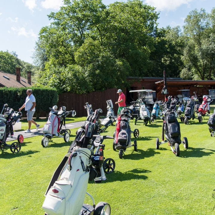 Ladies cup 1