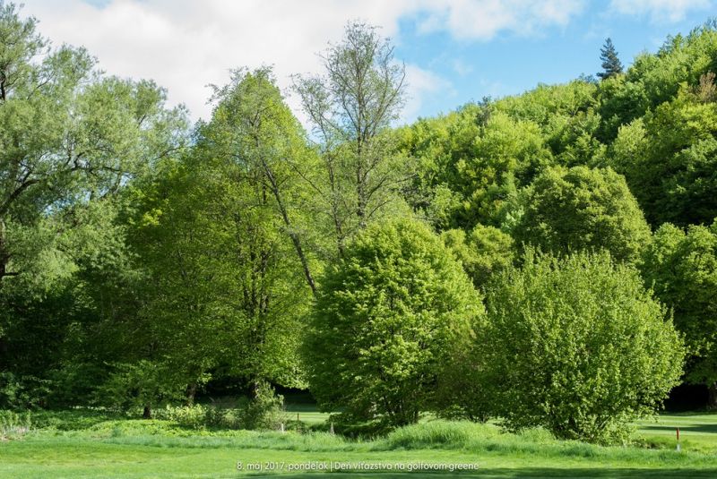 Deň víťazstva na golfovom greene