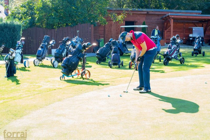 Pilous Wood golf cup