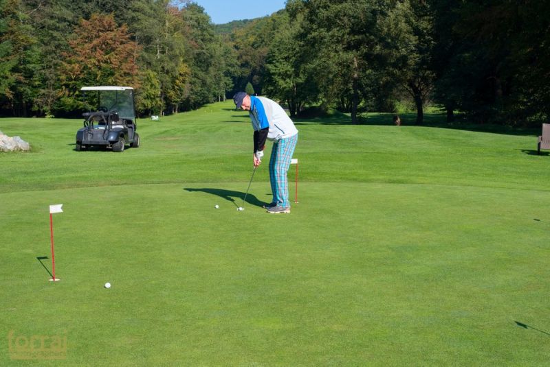 Pilous Wood golf cup