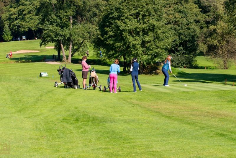 Pilous Wood golf cup