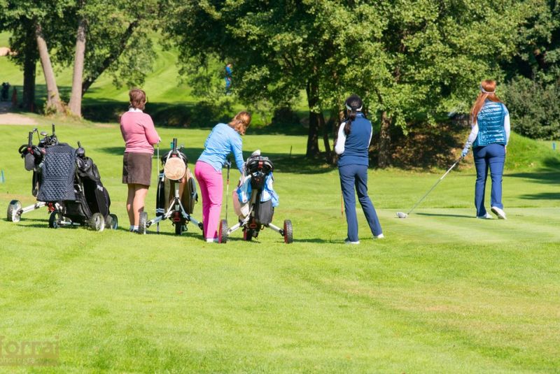 Pilous Wood golf cup