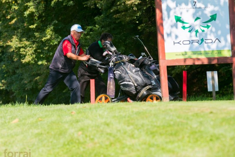 Pilous Wood golf cup