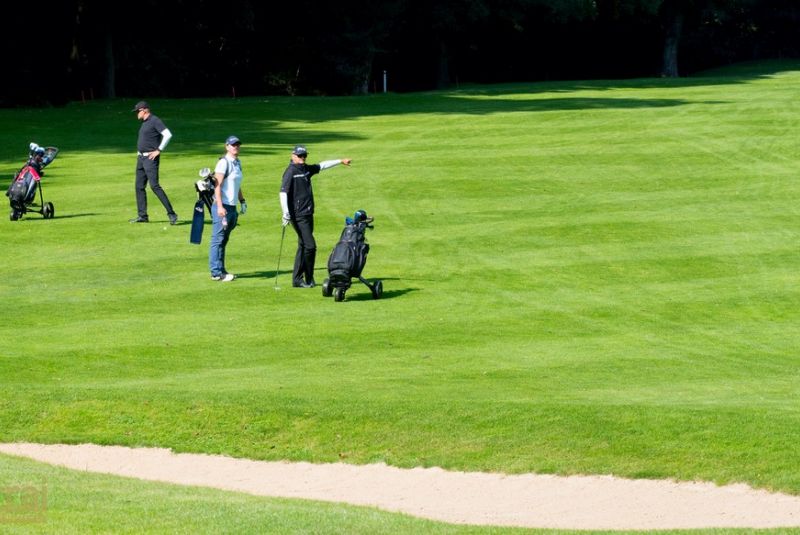 Pilous Wood golf cup