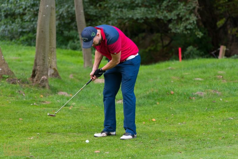 Pilous Wood golf cup