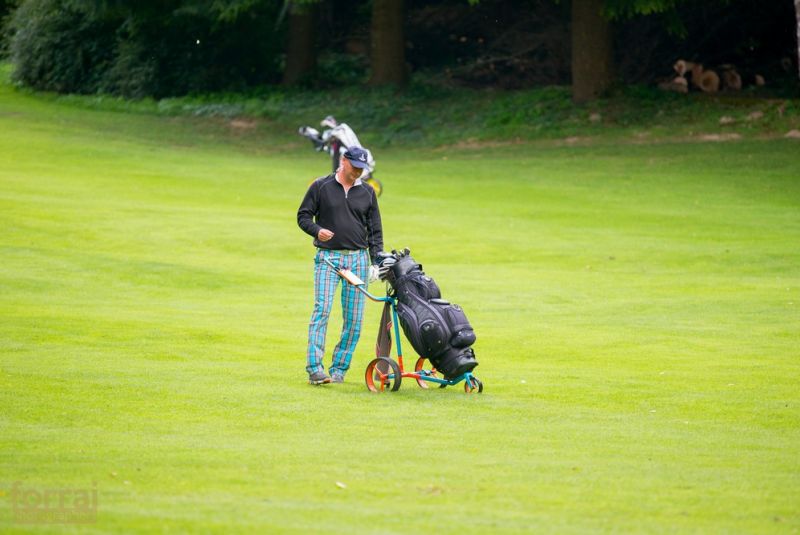 Pilous Wood golf cup