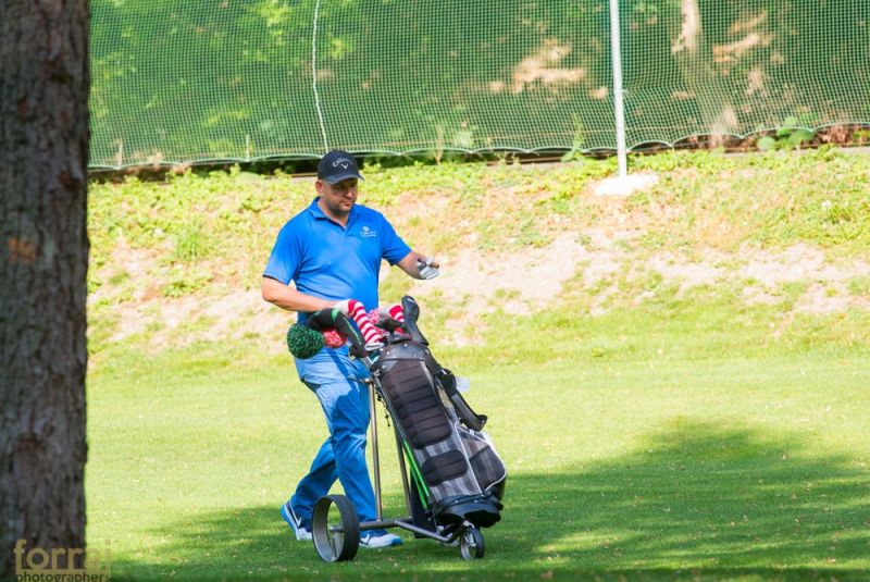 Pilous Wood golf cup