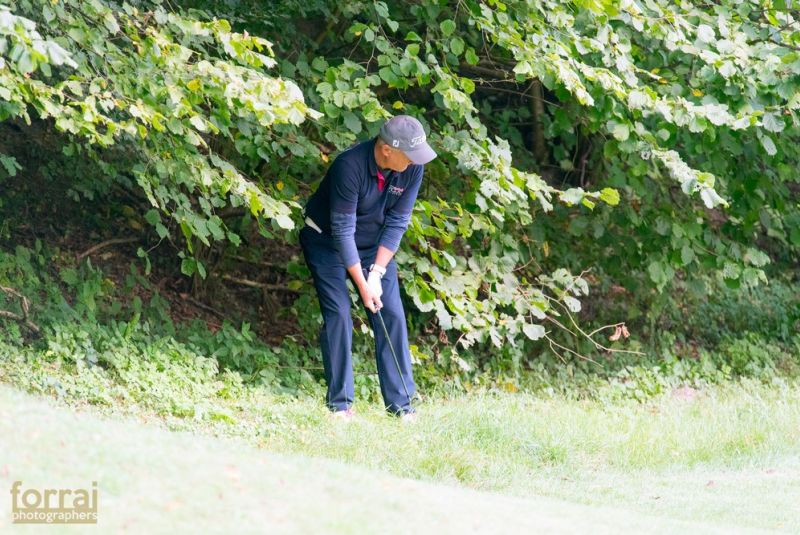 Pilous Wood golf cup