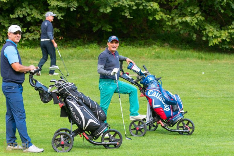 Pilous Wood golf cup