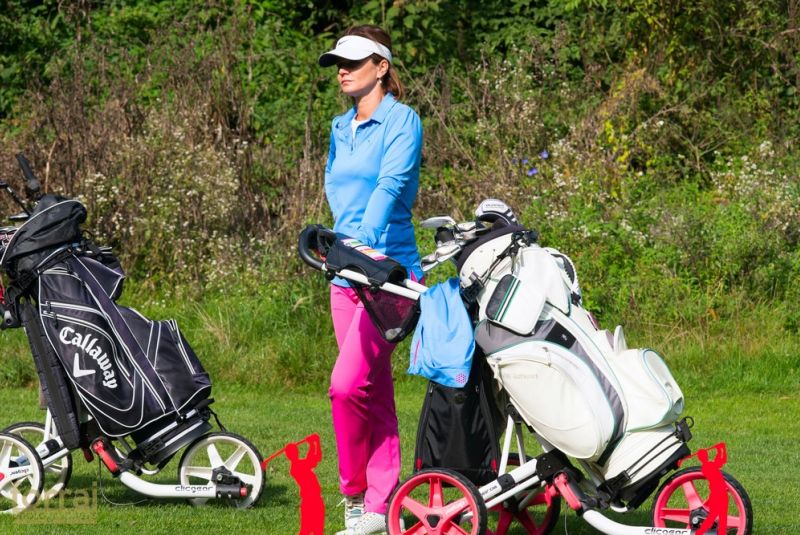 Pilous Wood golf cup