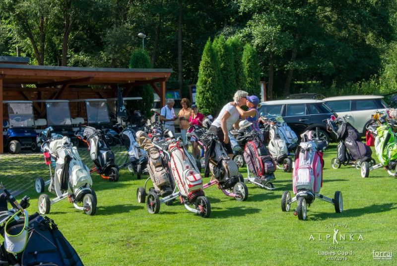 Ladies cup