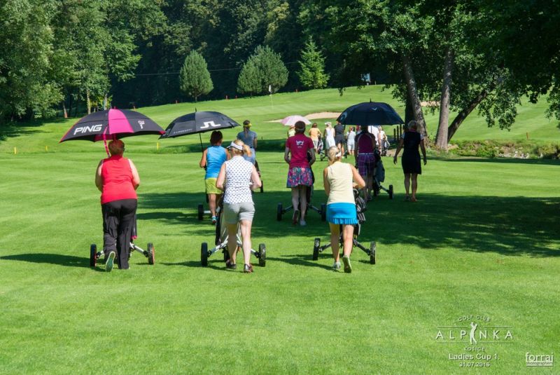 Ladies cup