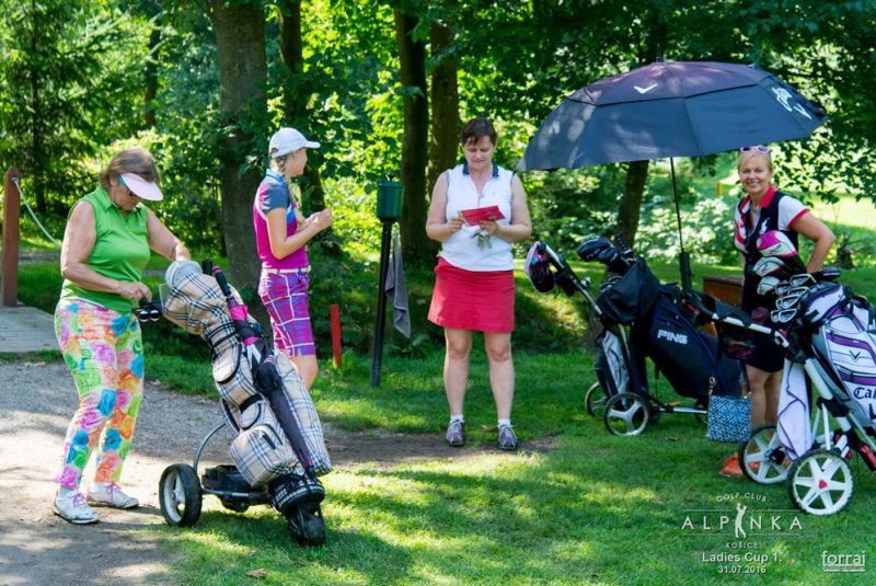 Ladies cup