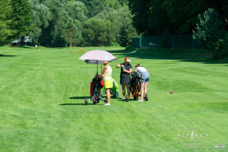 Ladies cup