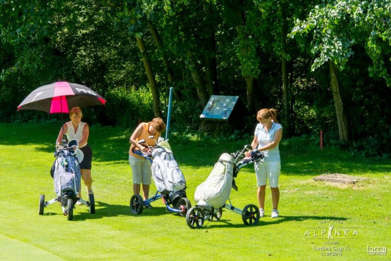 Ladies cup