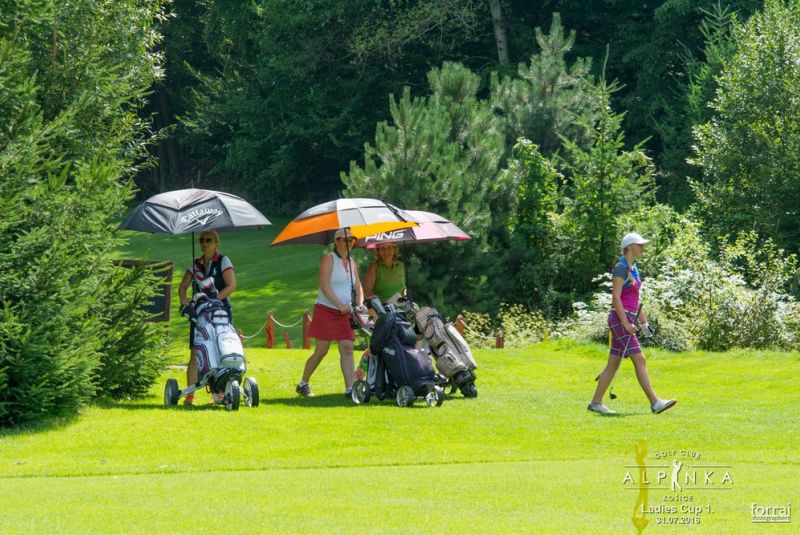 Ladies cup