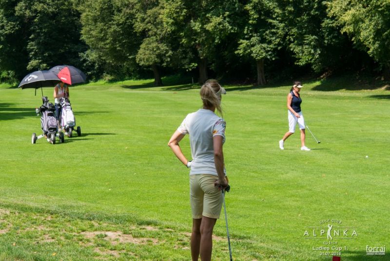Ladies cup