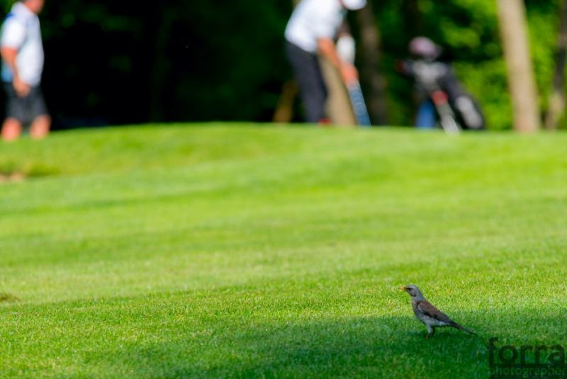 Turnaj MAXIMA MERCEDES GOLF TOUR 1.