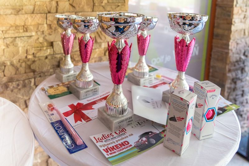 Ladies Cup