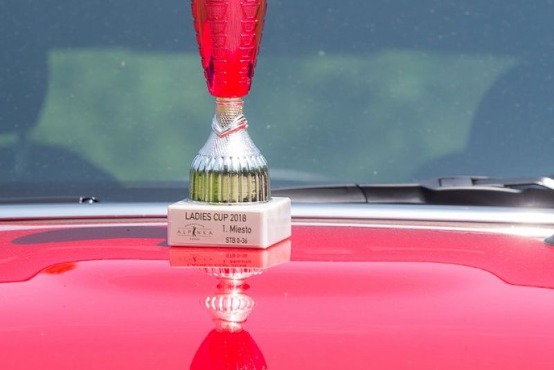 Ladies Cup