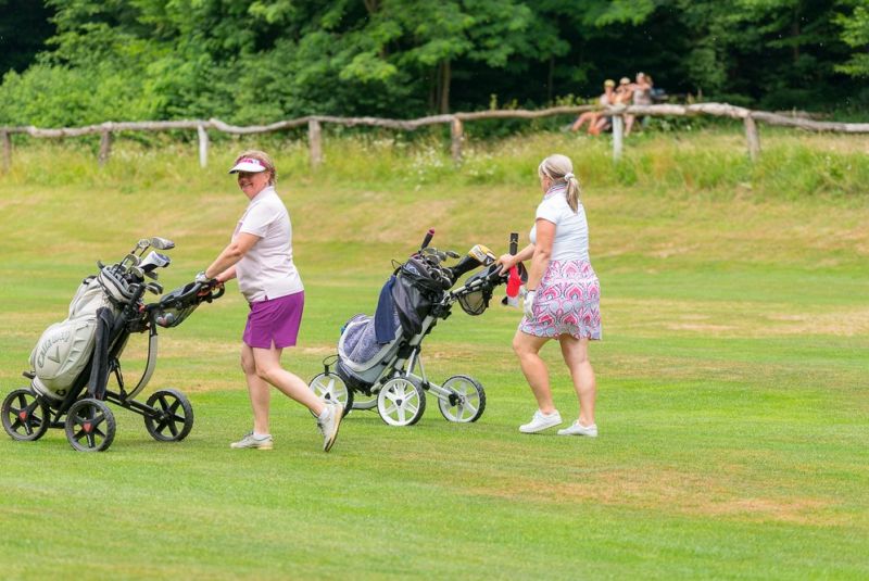 Ladies Cup