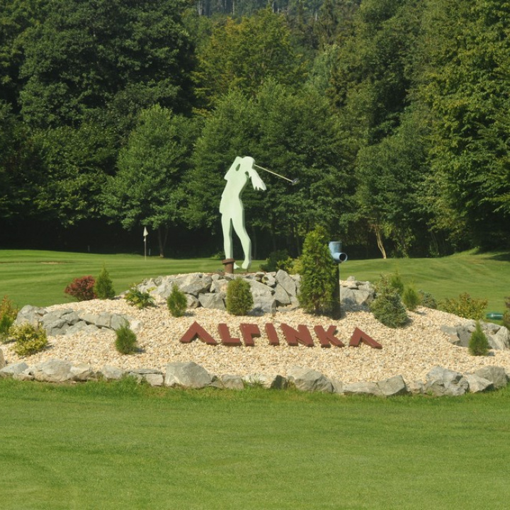 Ladies cup 2015