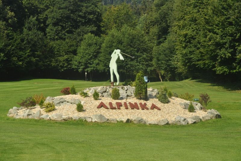Ladies cup 2015