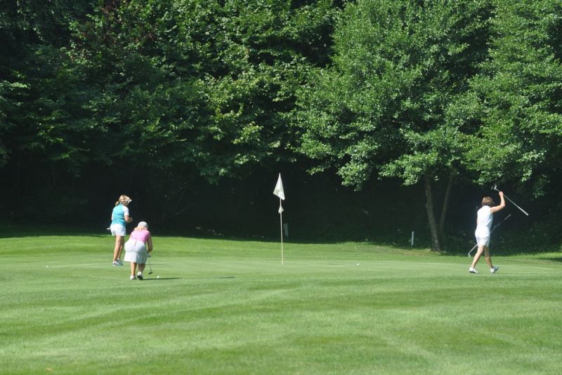 Ladies cup 2015