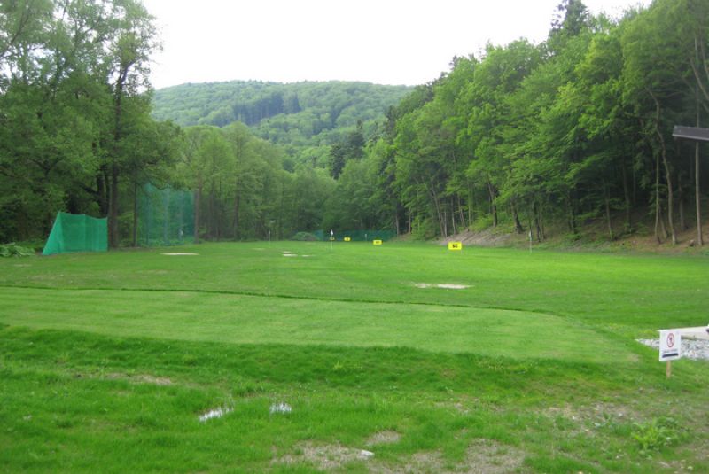 Senior cup I.